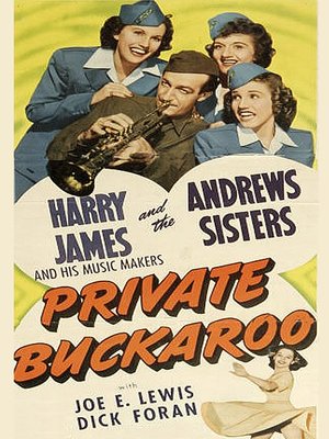 cover image of Private Buckaroo